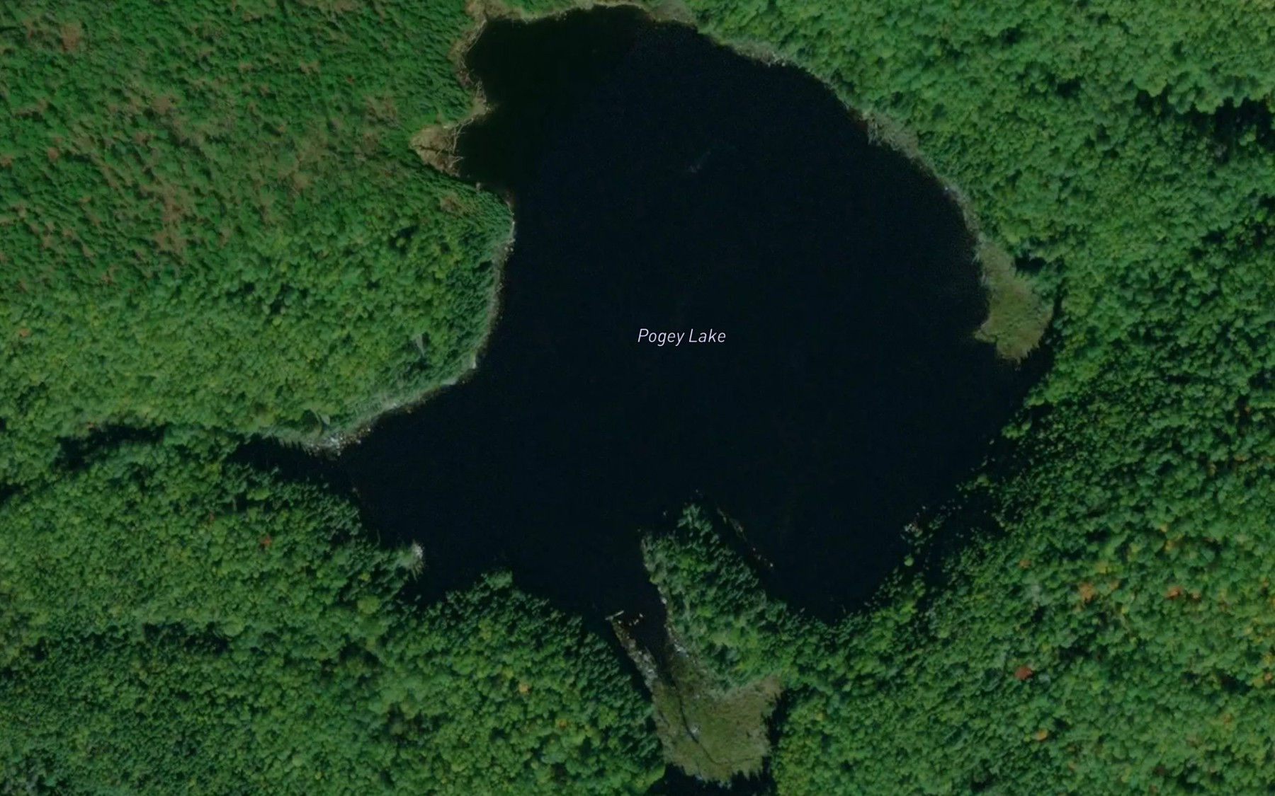 Satellite map of the Pogey Lake