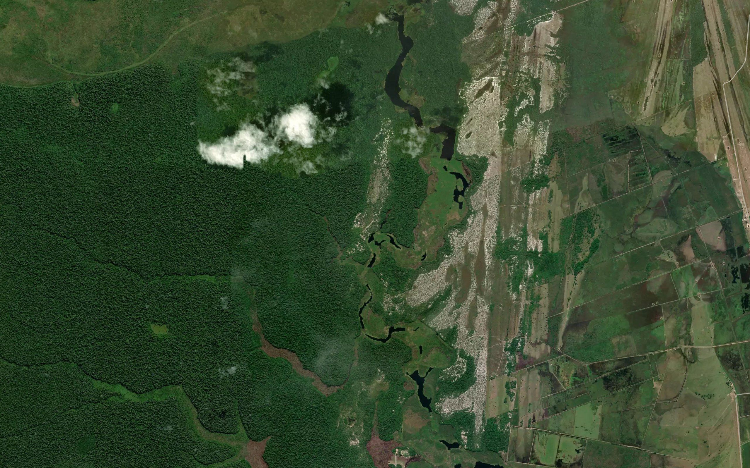 Corrego dos Macacos