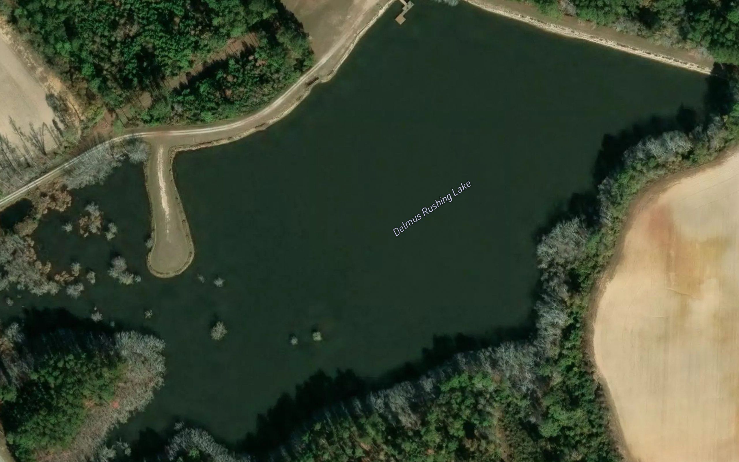 Delmus Rushing Lake