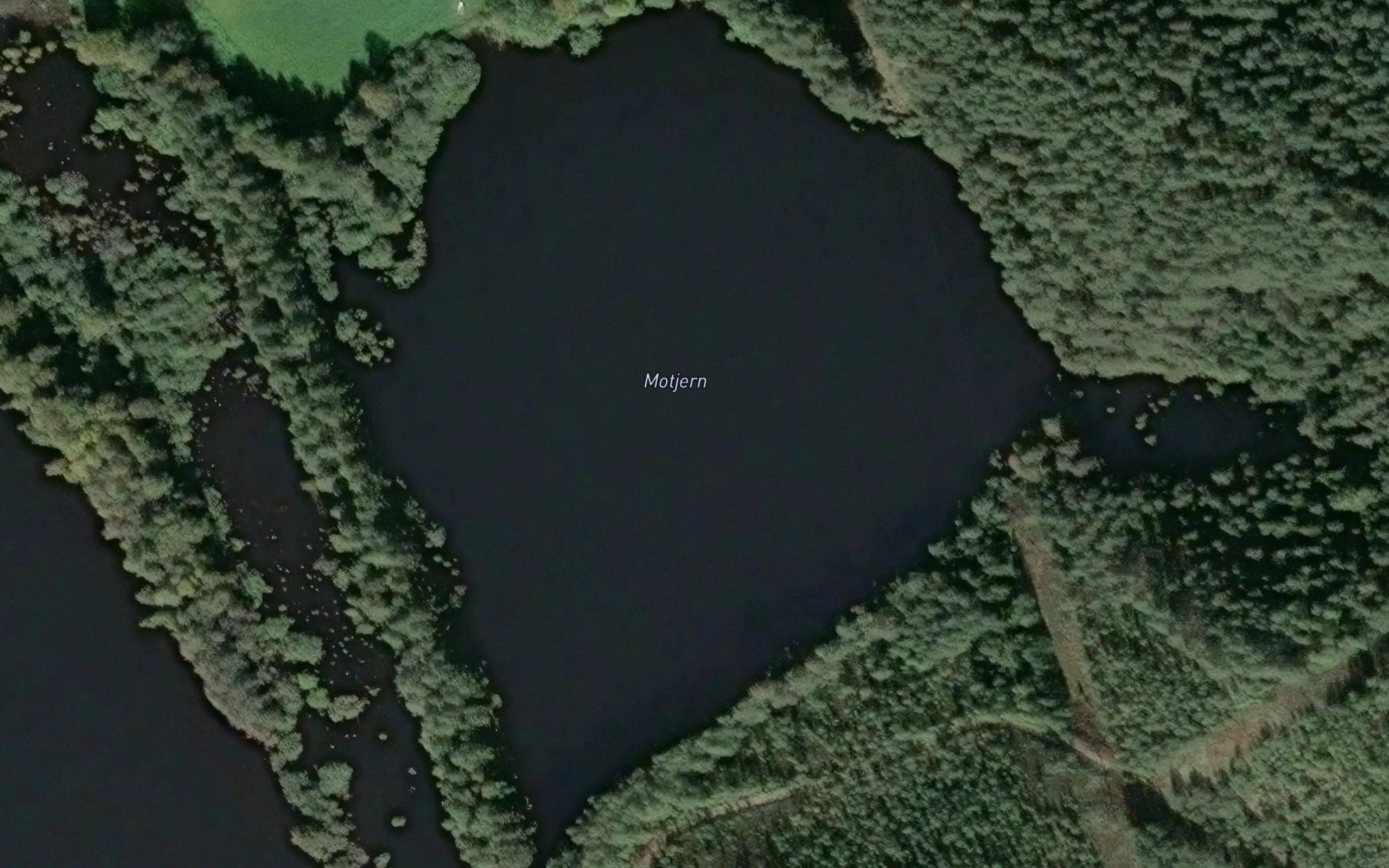 Motjern