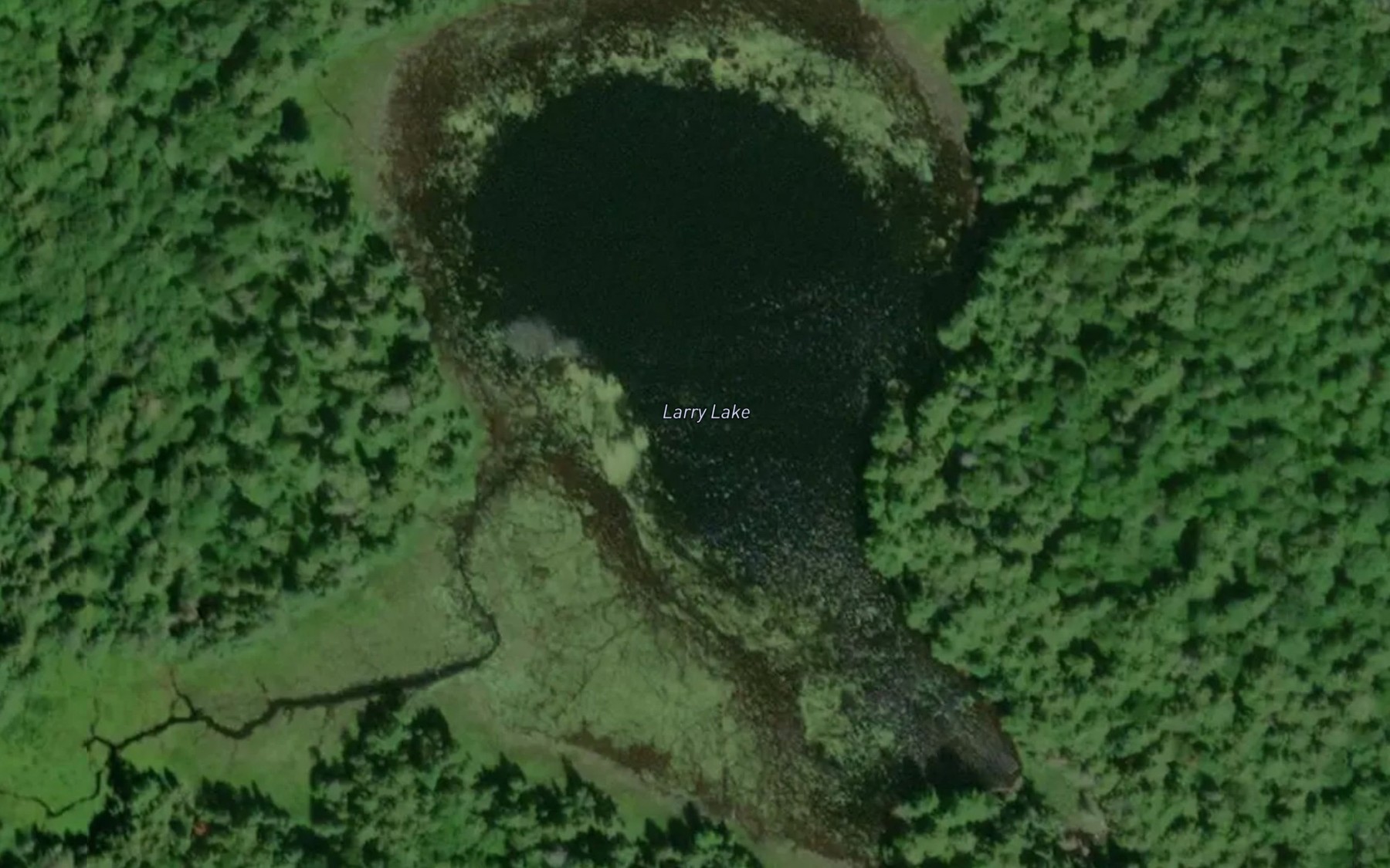 Satellite map of the Larry Lake
