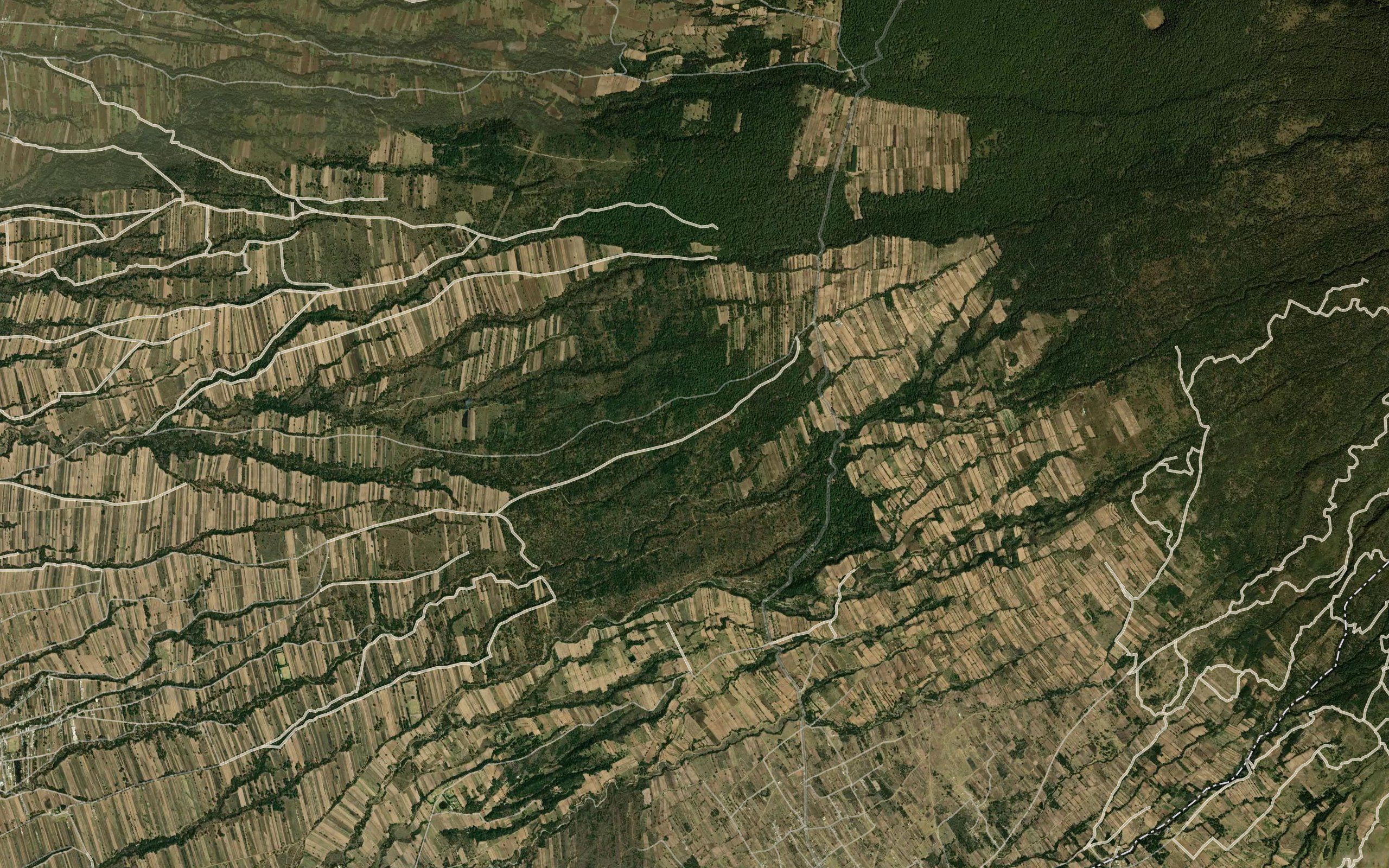 Telpuchac