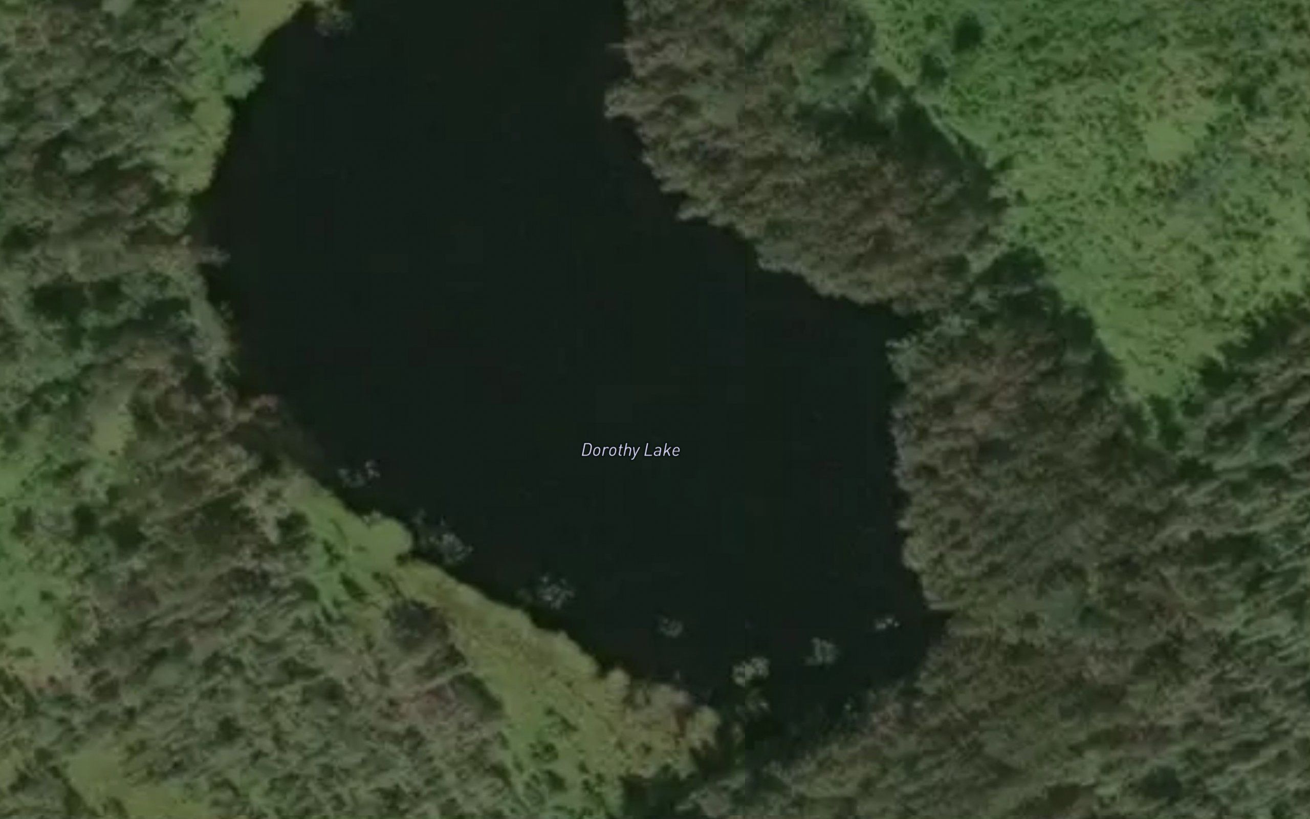 Dorothy Lake