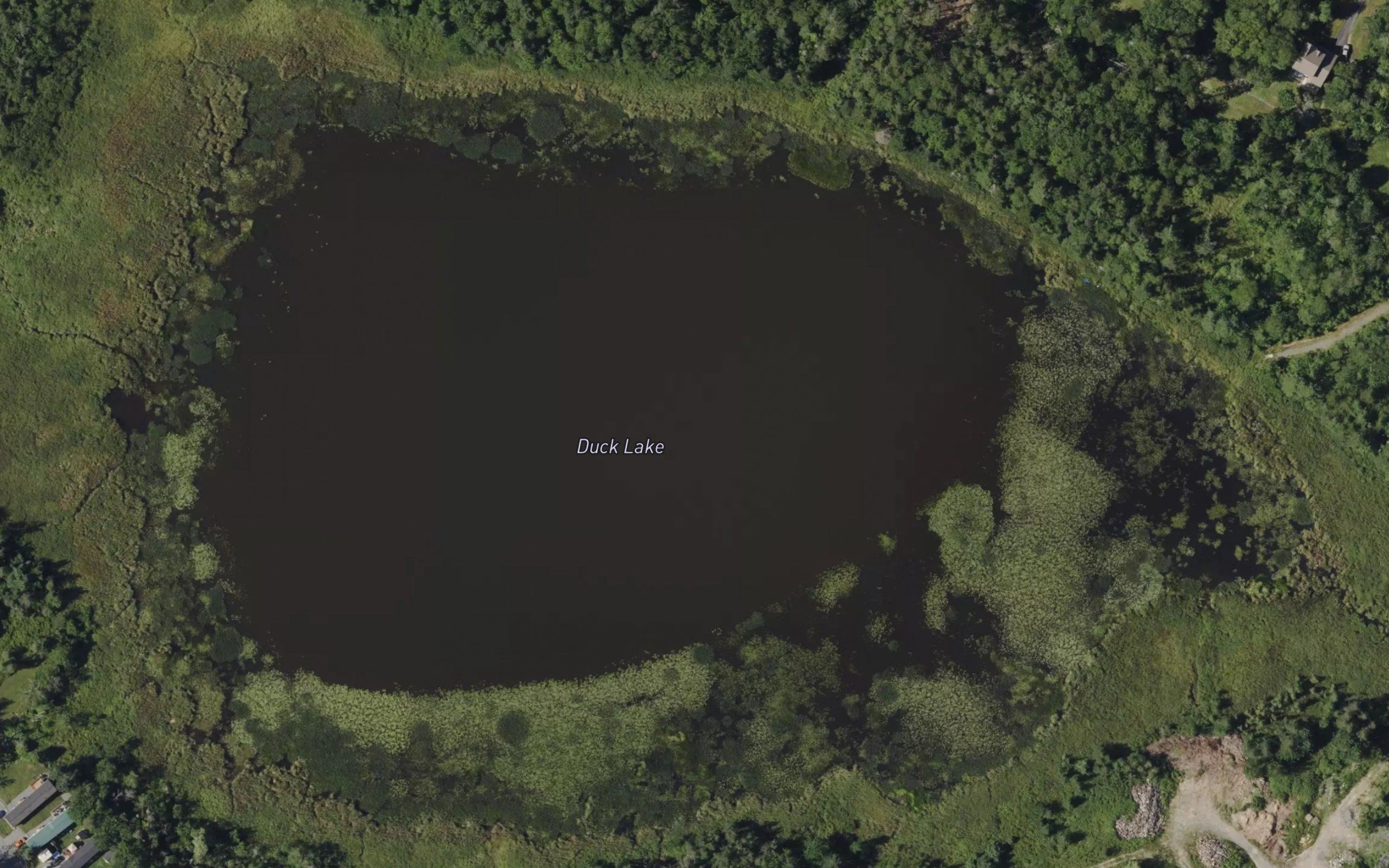 Duck Lake