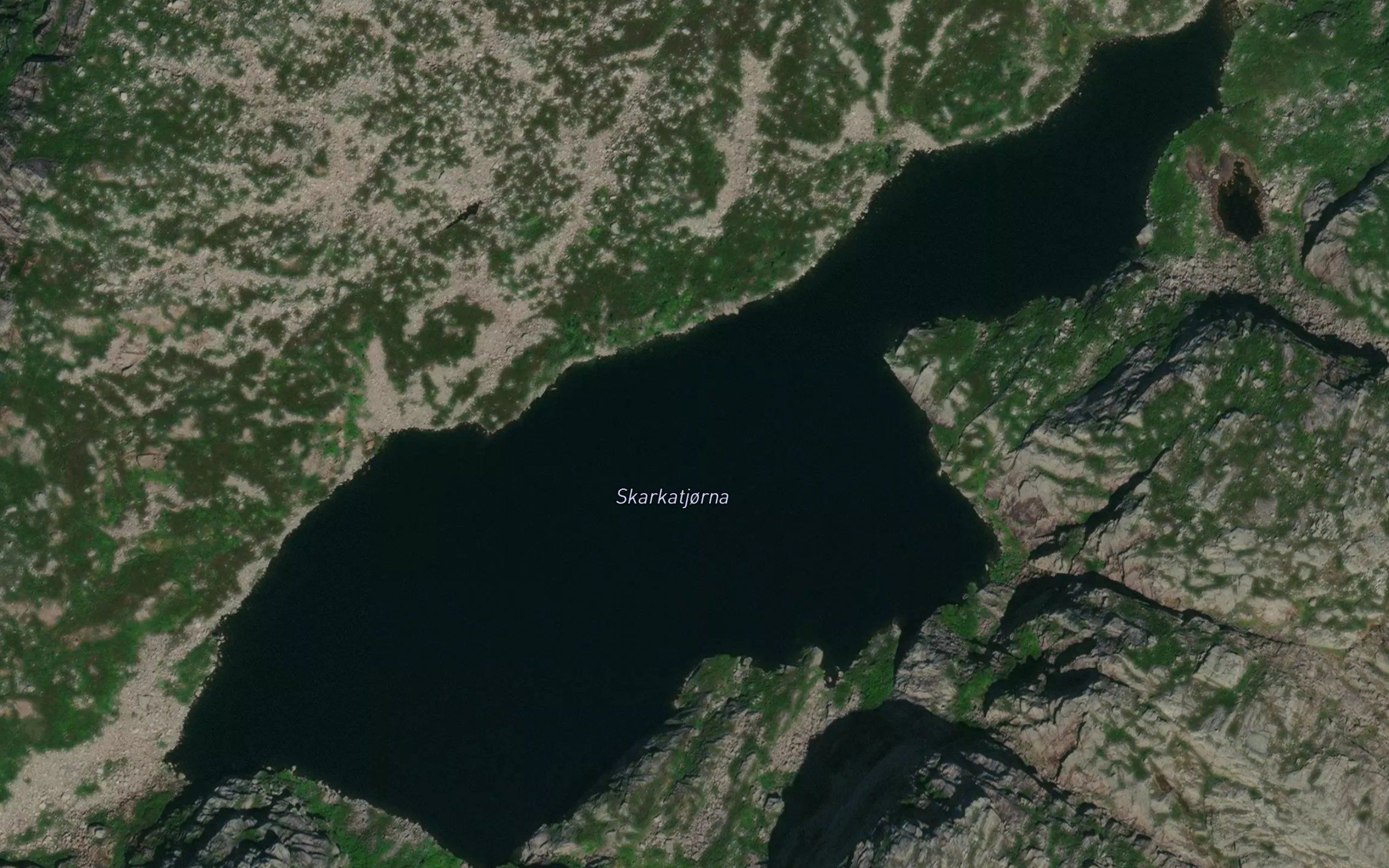 Skarkatjorni