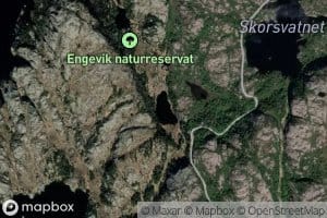 Steingjeltjorna