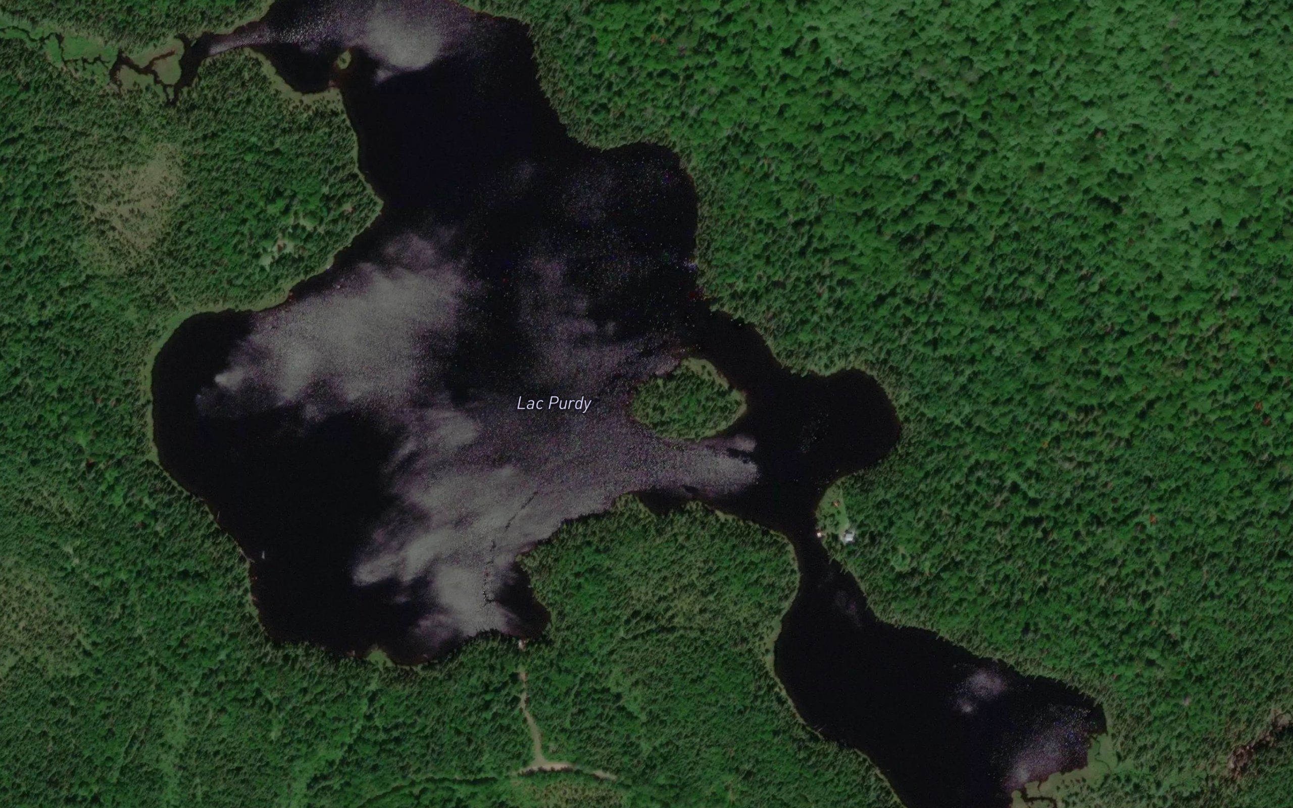 Lac Purdy