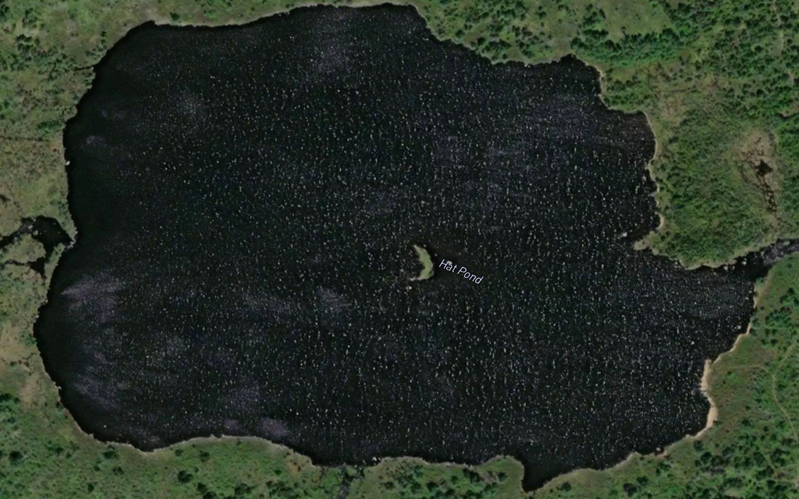 Hat Pond