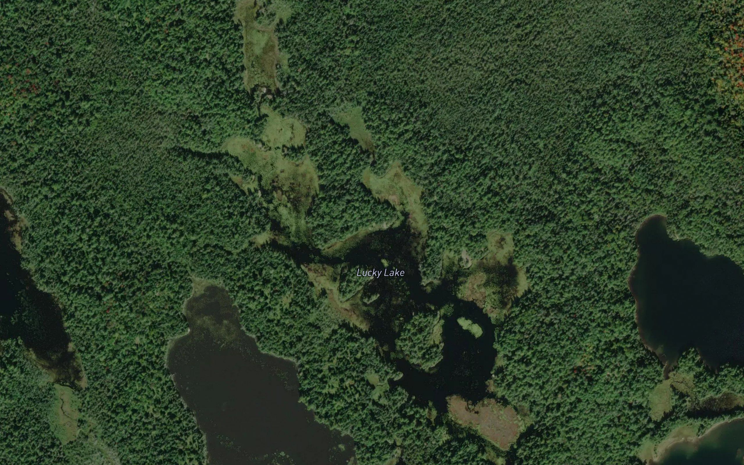 Lucky Lake