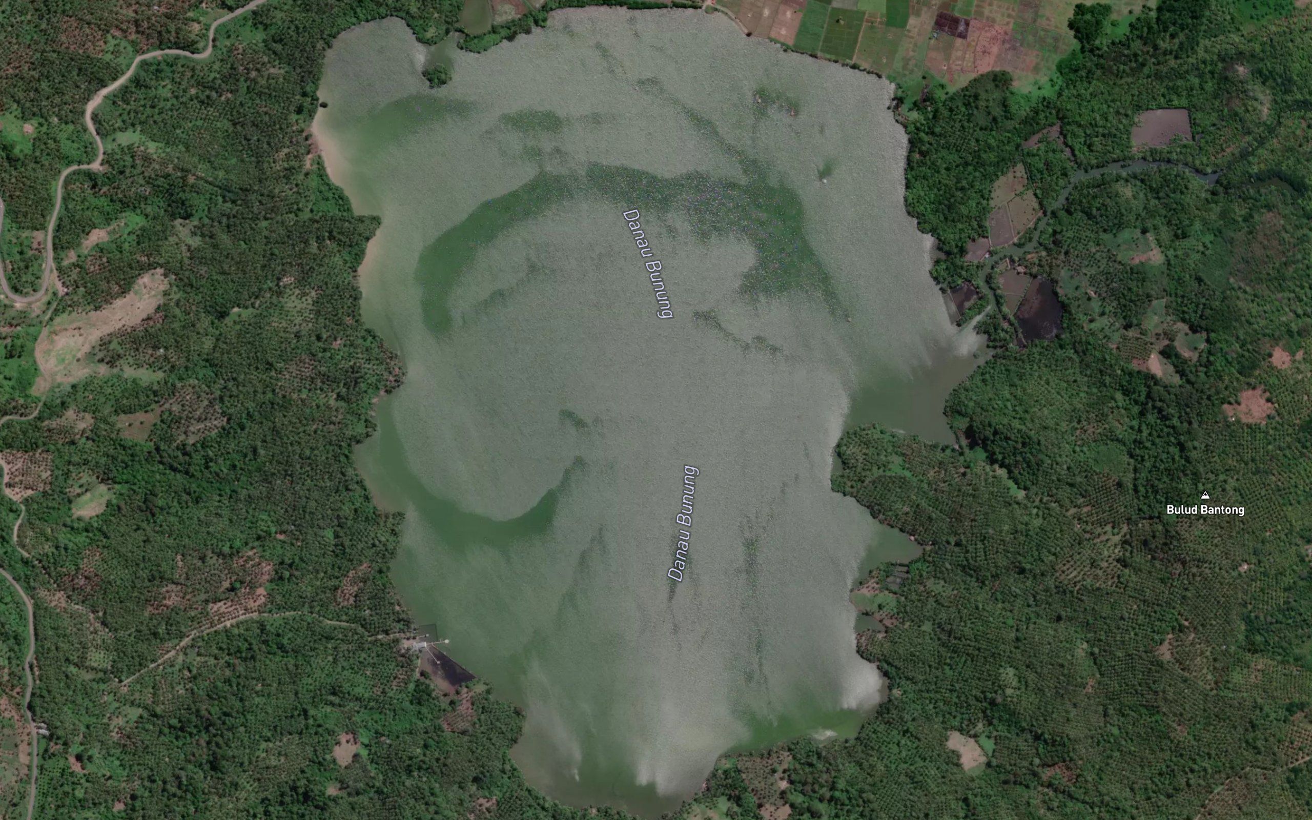 Danau Bunong