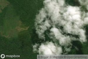 Rio Ananavira Candiru-Acu