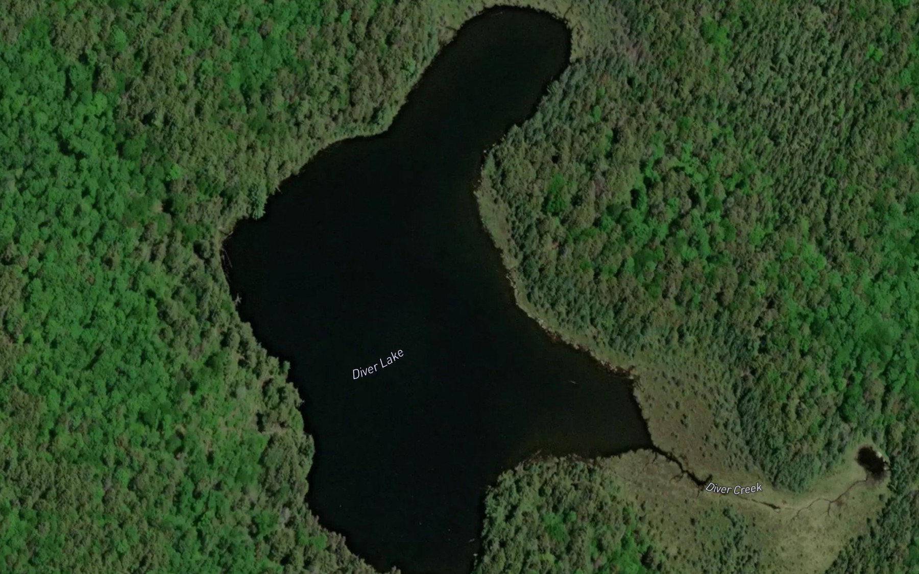 Satellite map of the Diver Lake