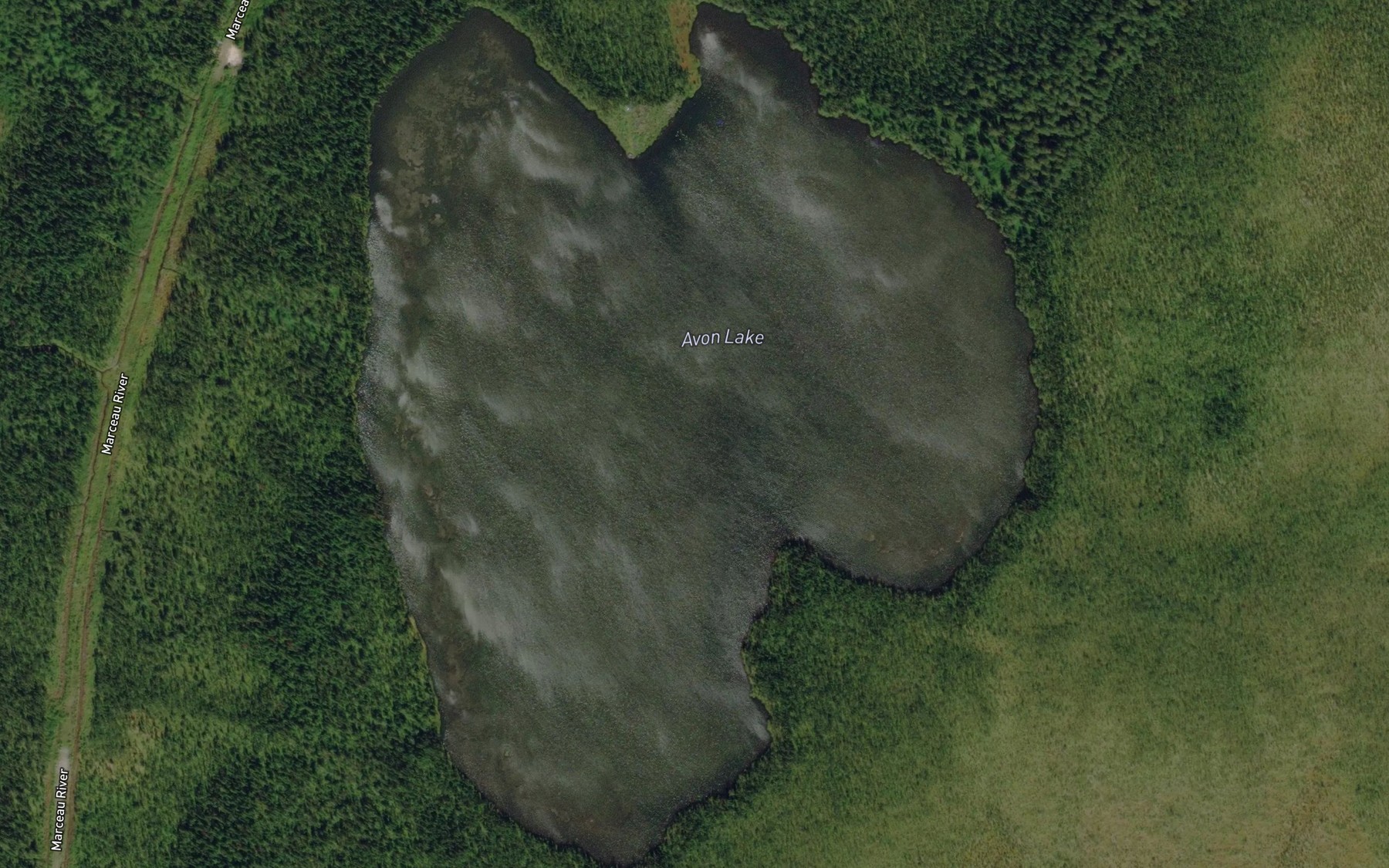 Satellite map of the Avon Lake