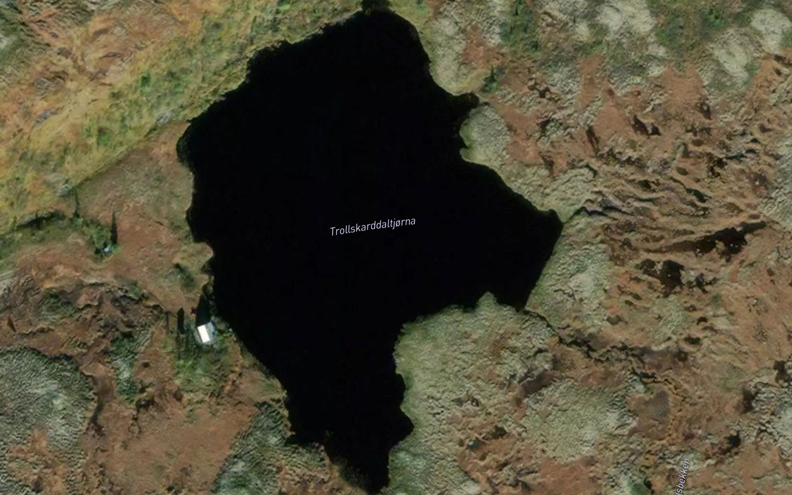 Trollskarddaltjorna