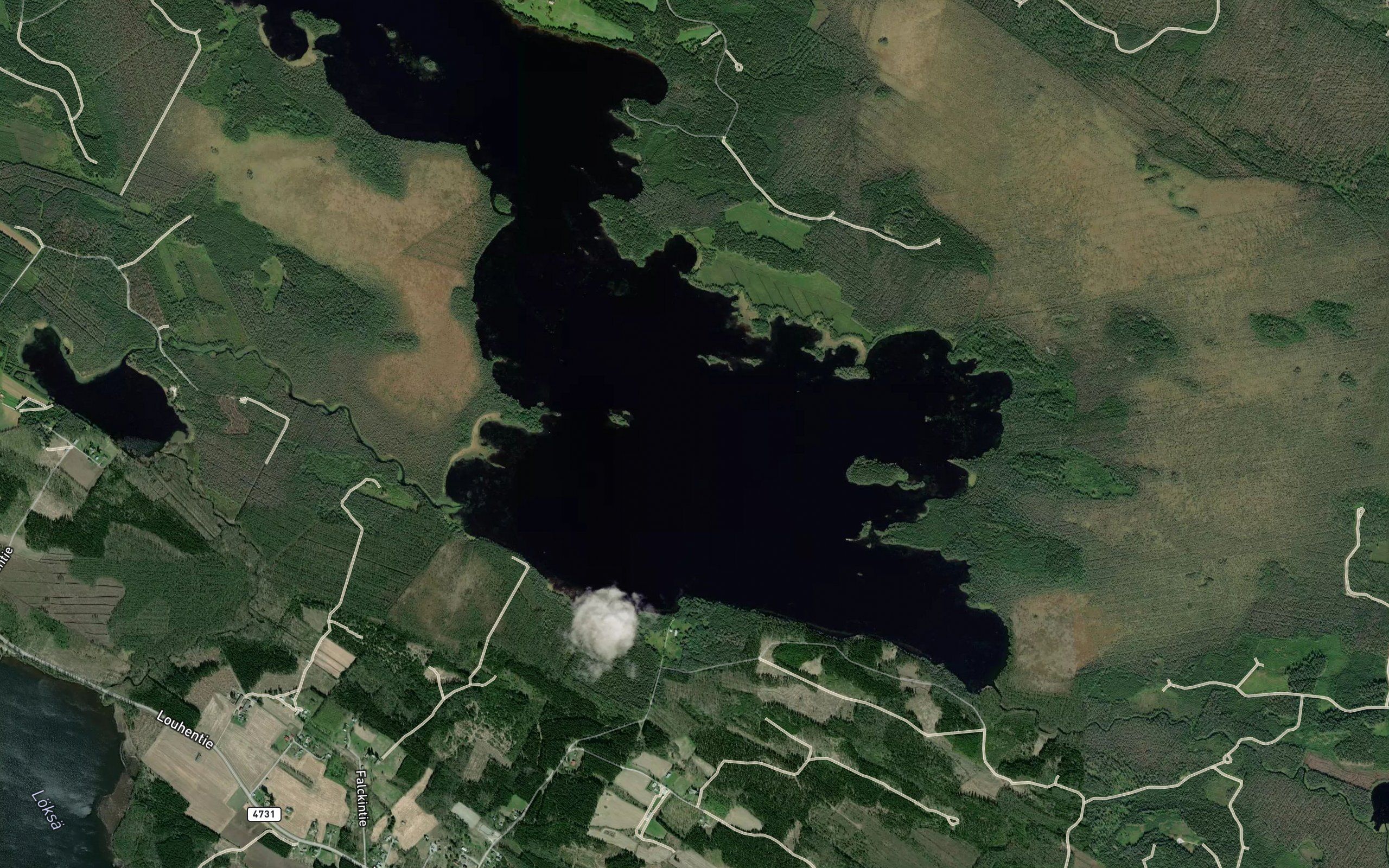 Riitasenjarvi