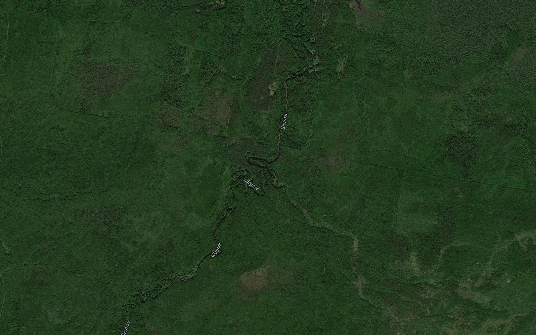 Satellite map of the Kamenka