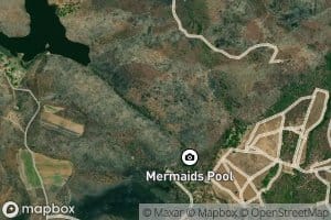 Mermaids Pool