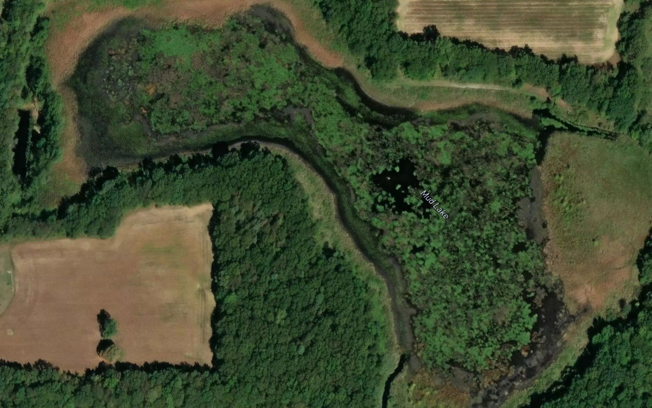 Mud Lake