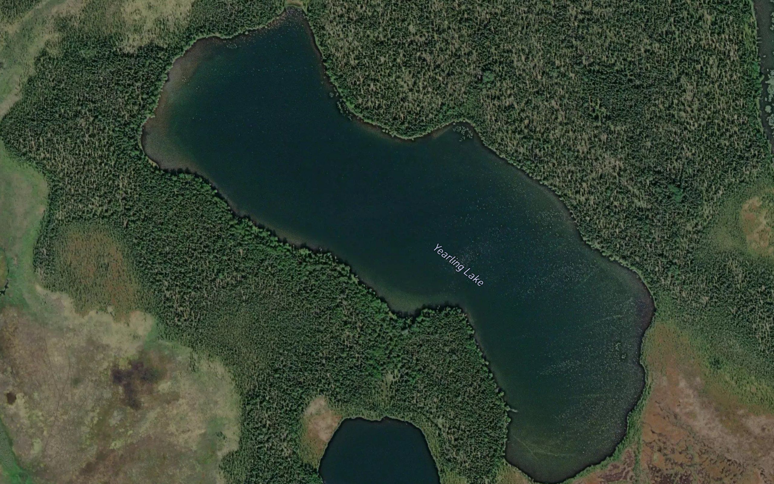 Yearling Lake