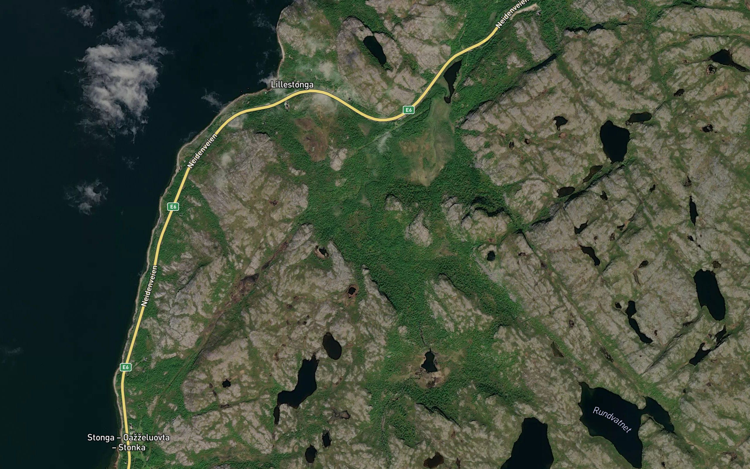 Buholmelva