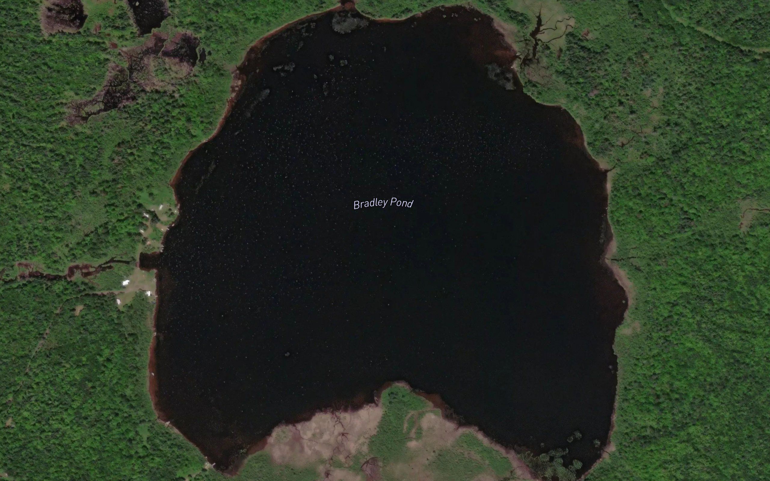 Bradley Pond