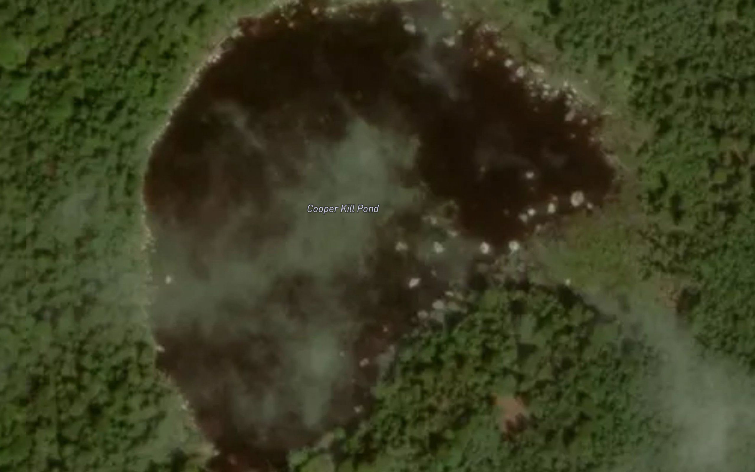 Cooper Kill Pond