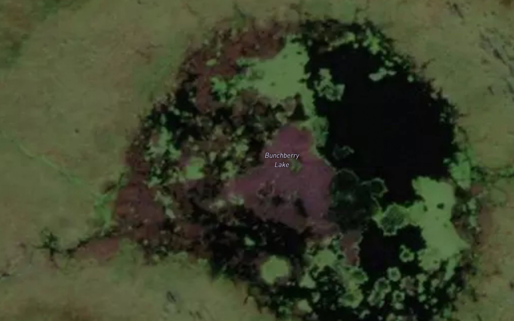 Satellite map of the Bunchberry Lake