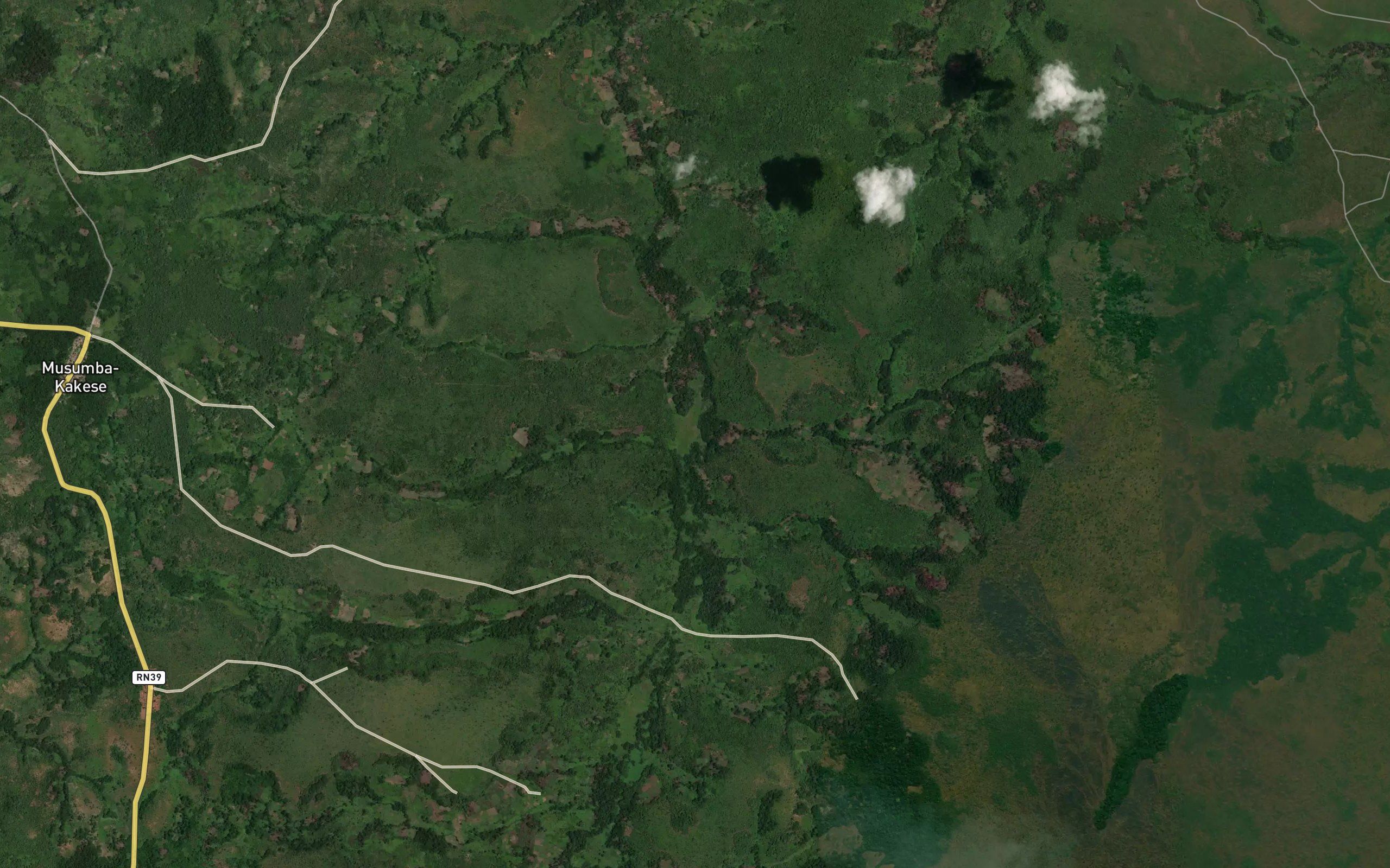 Kasakene