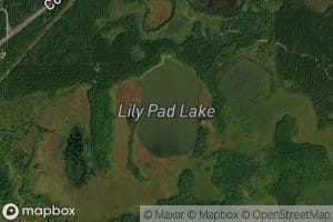 Lily Pad Lake
