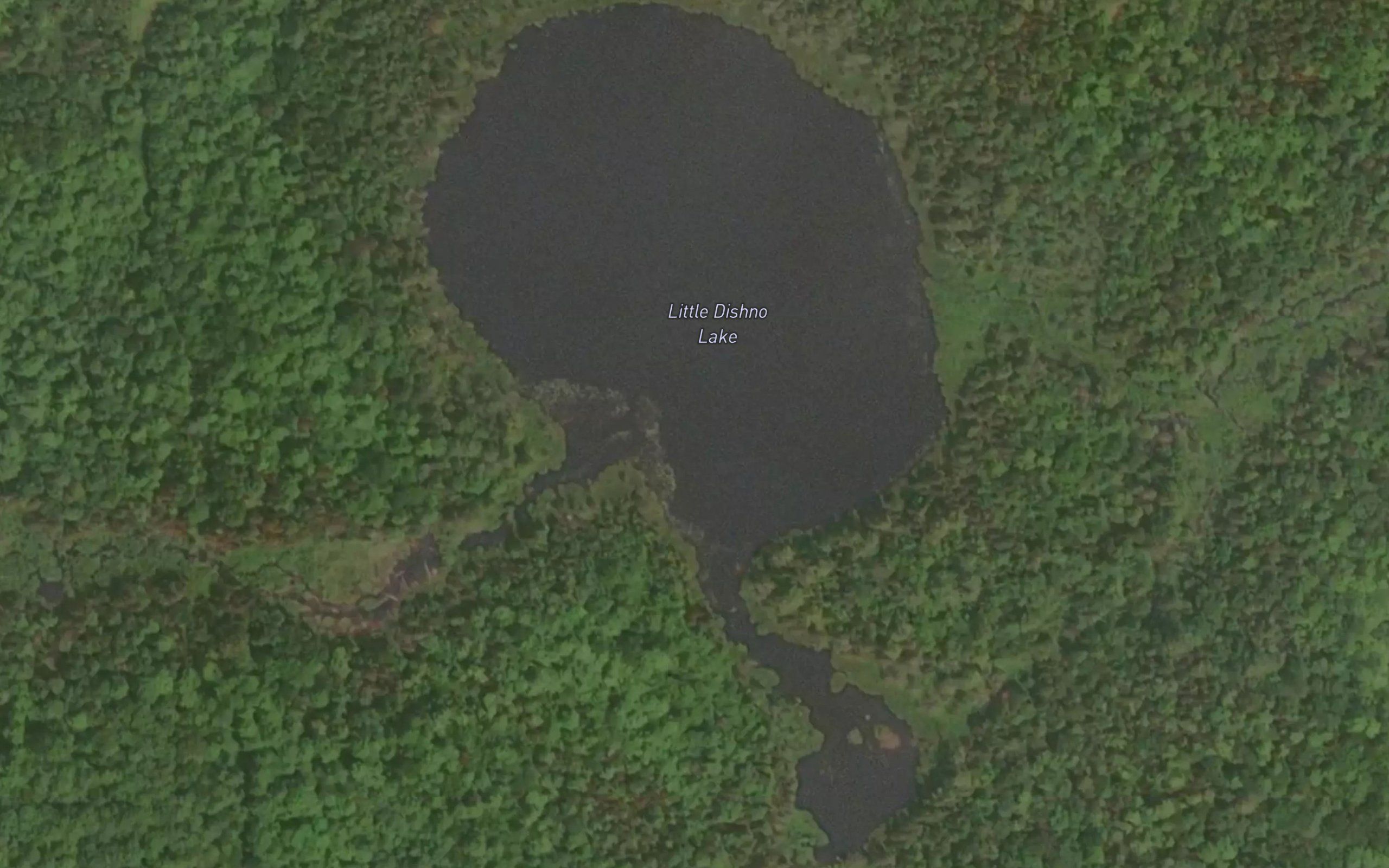 Little Dishno Lake