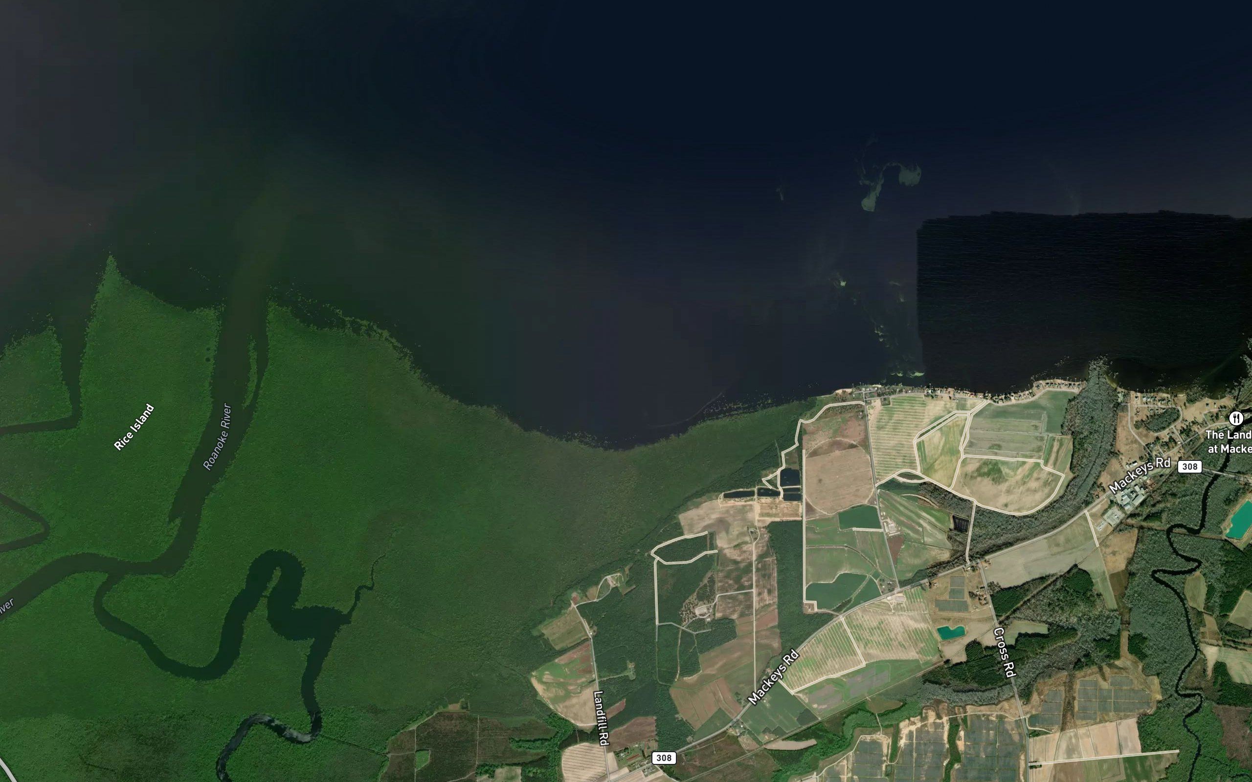 Swan Bay