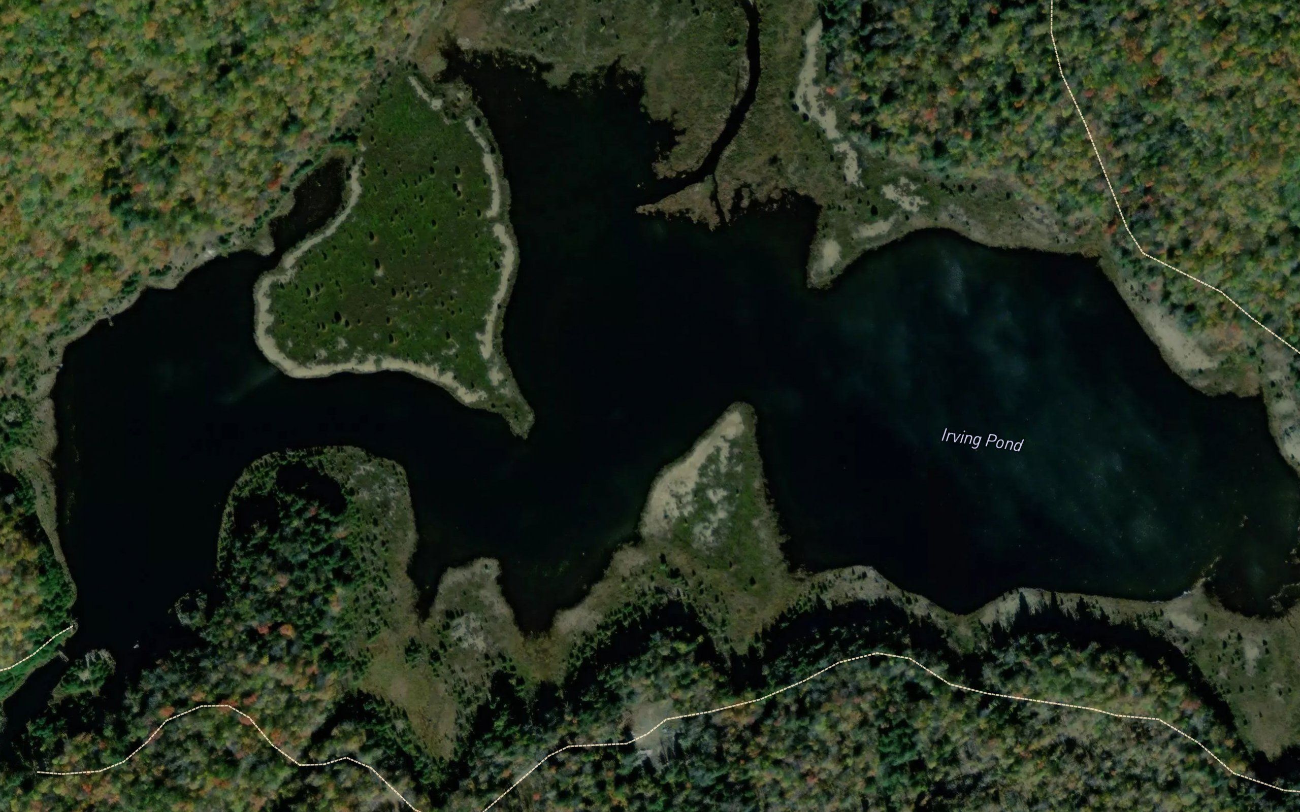 Irving Pond