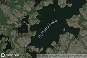 Octopus Lake