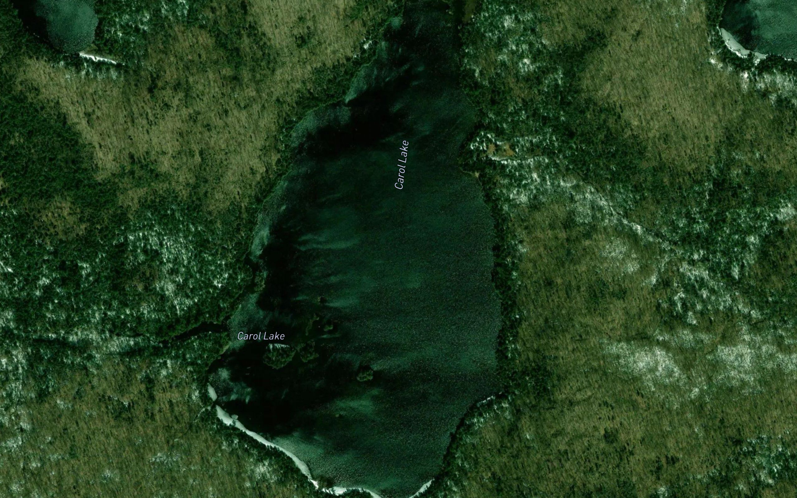 Carol Lake