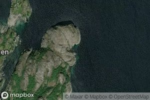 Klubbvika