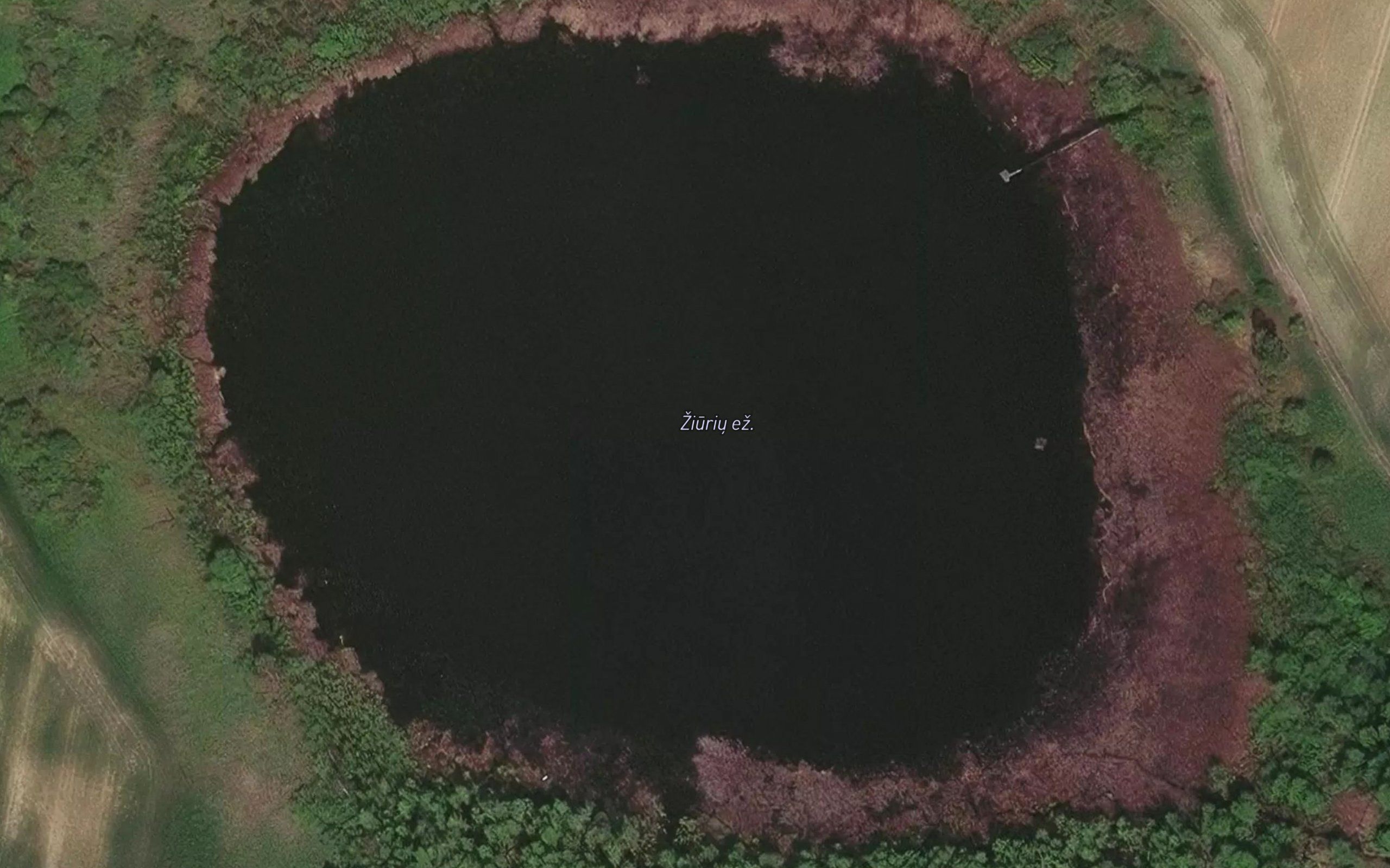 Ziuriu Ezeras