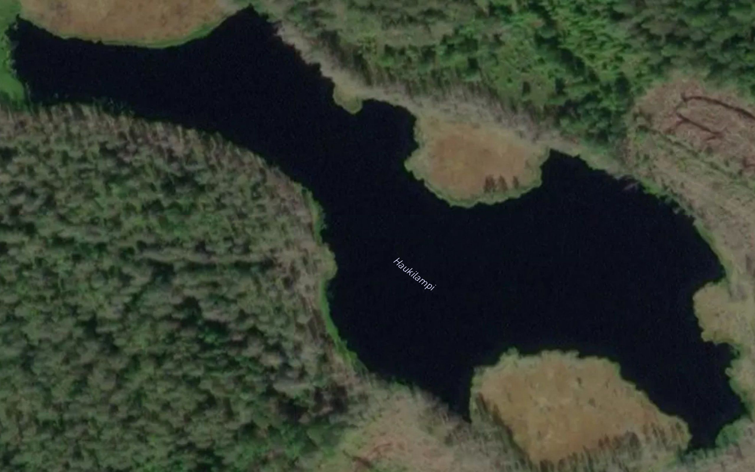 Haukilampi