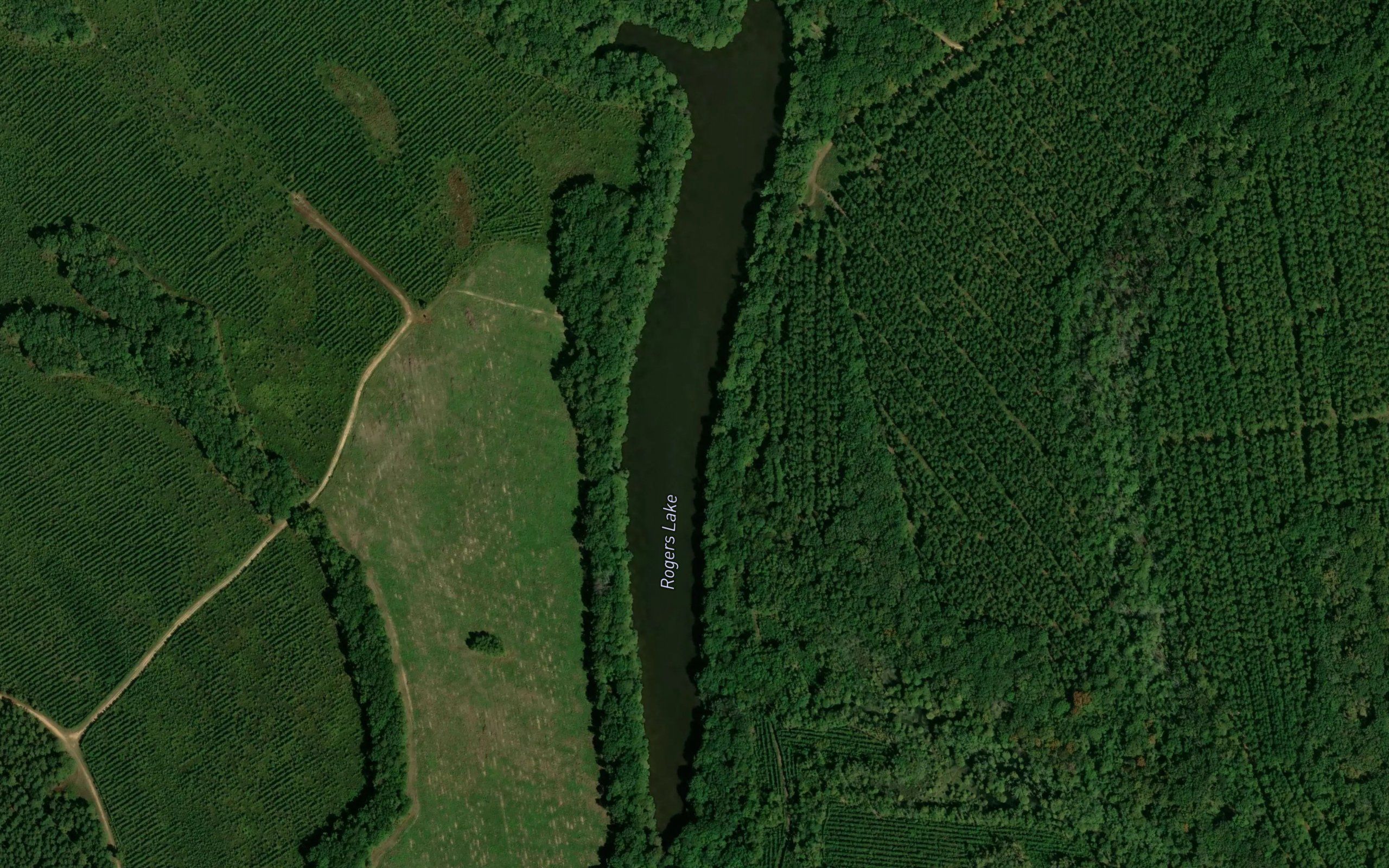 Rogers Lake