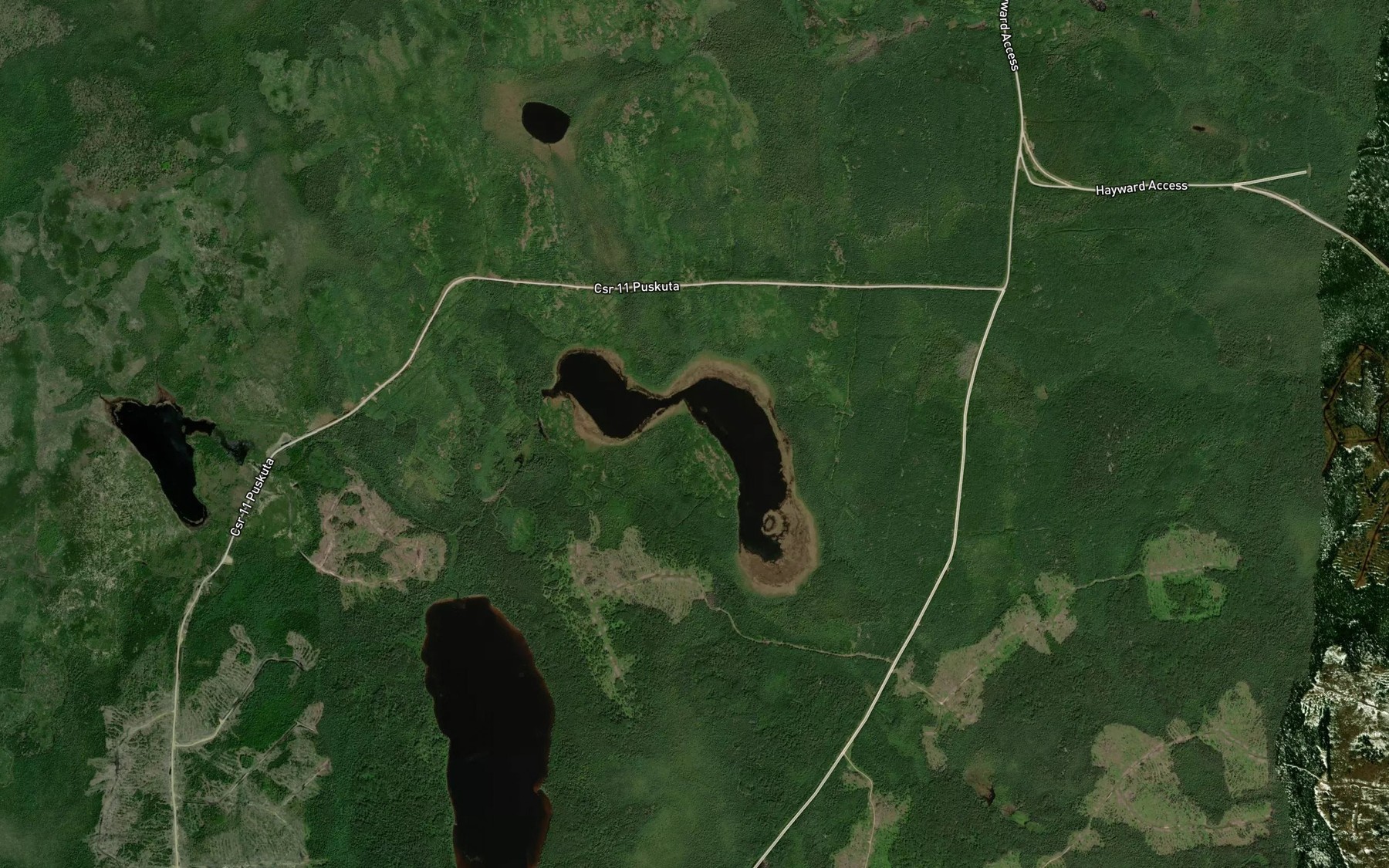 Satellite map of the Little Puskuta Lake