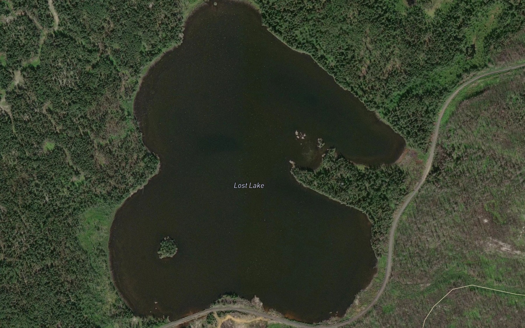 Satellite map of the Lost Lake
