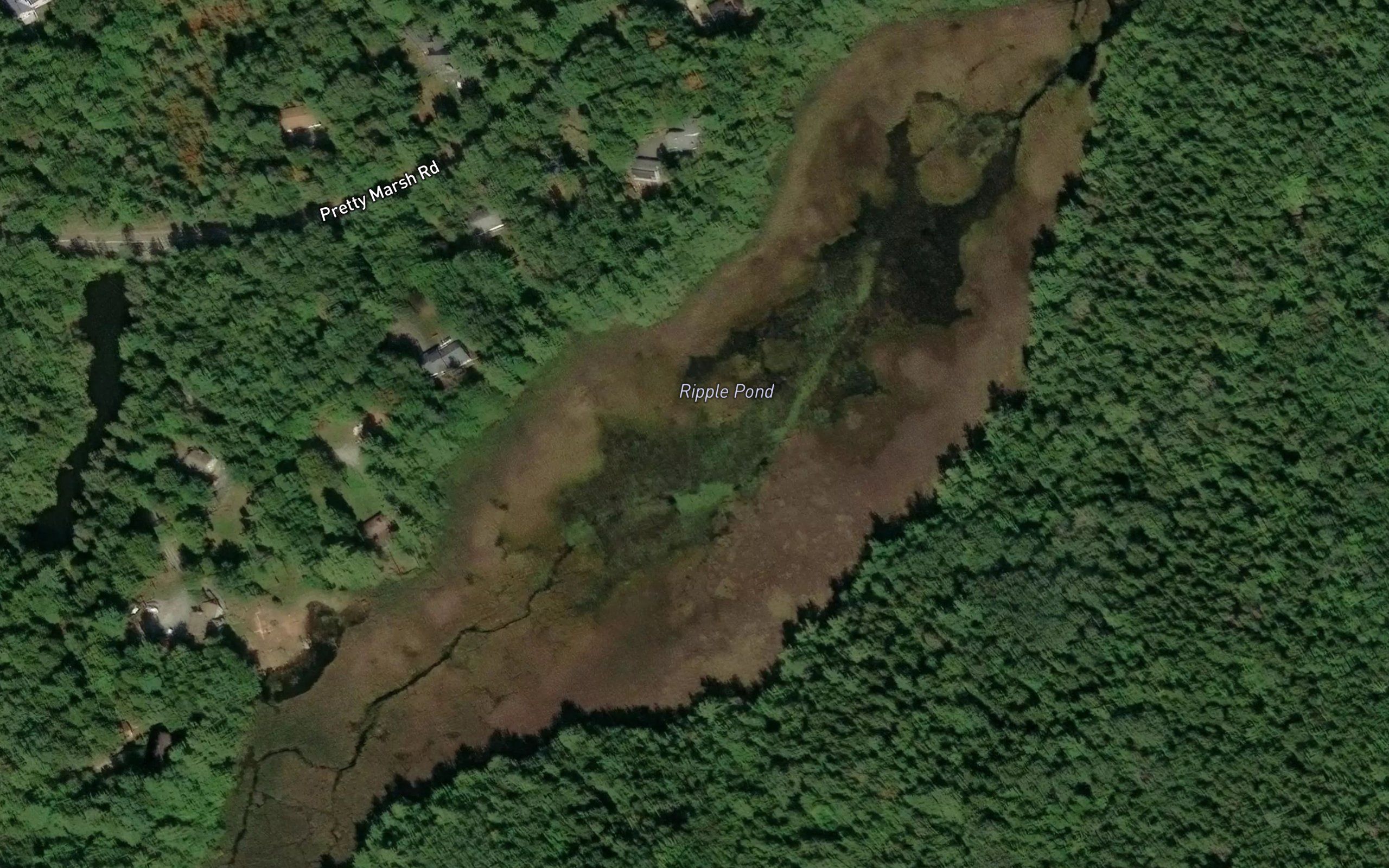 Ripple Pond
