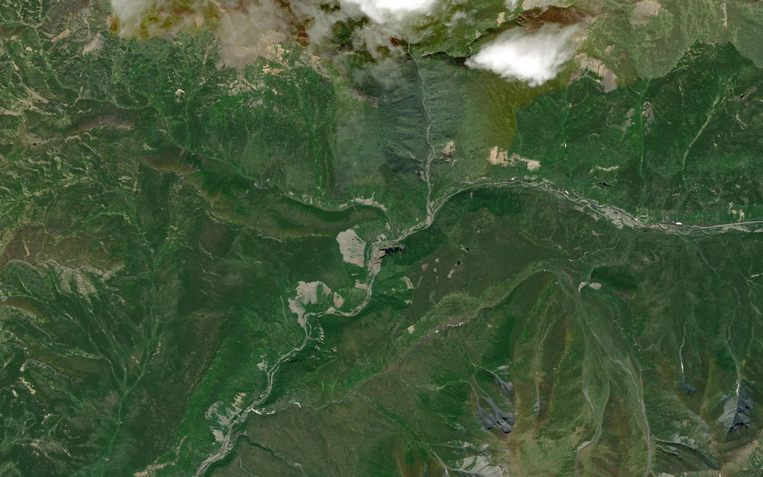 Mouse Creek