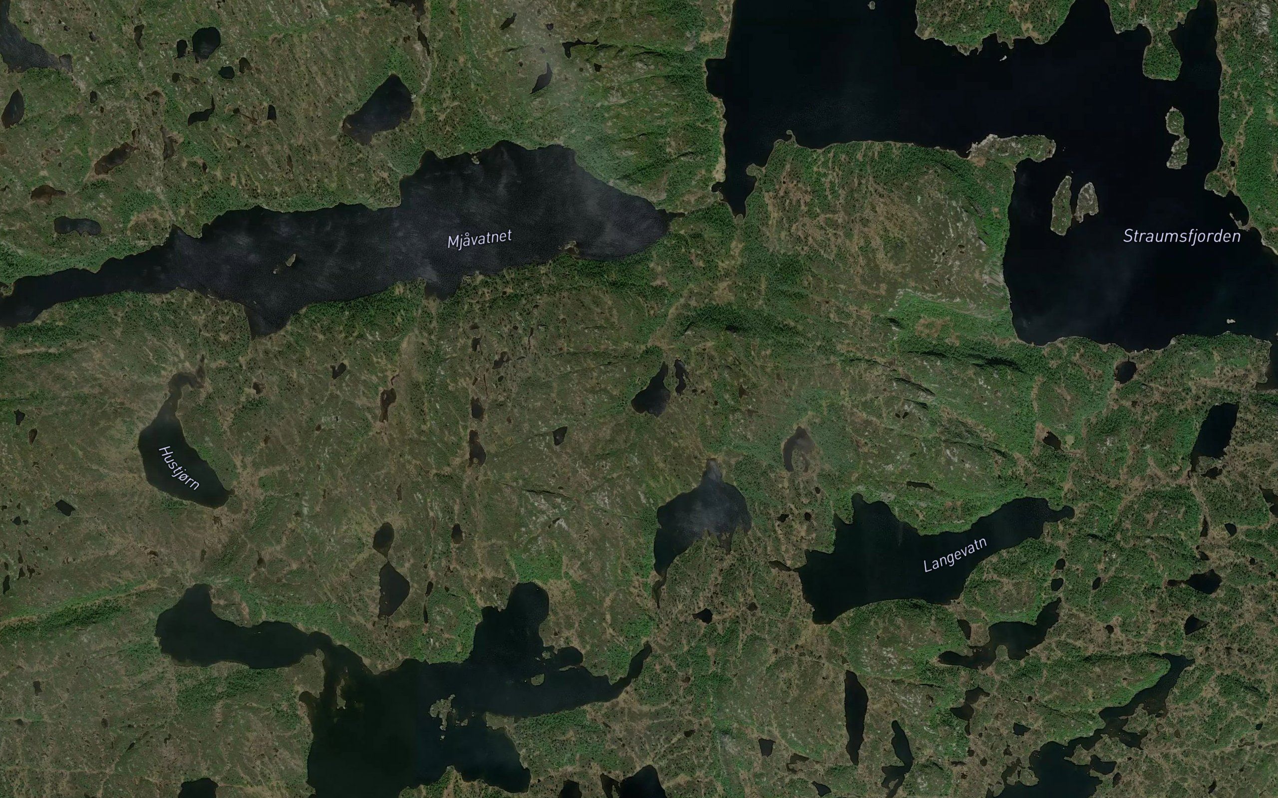 Loyetjorn (heimre)