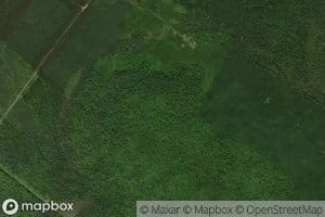 West Branch Forks Brook