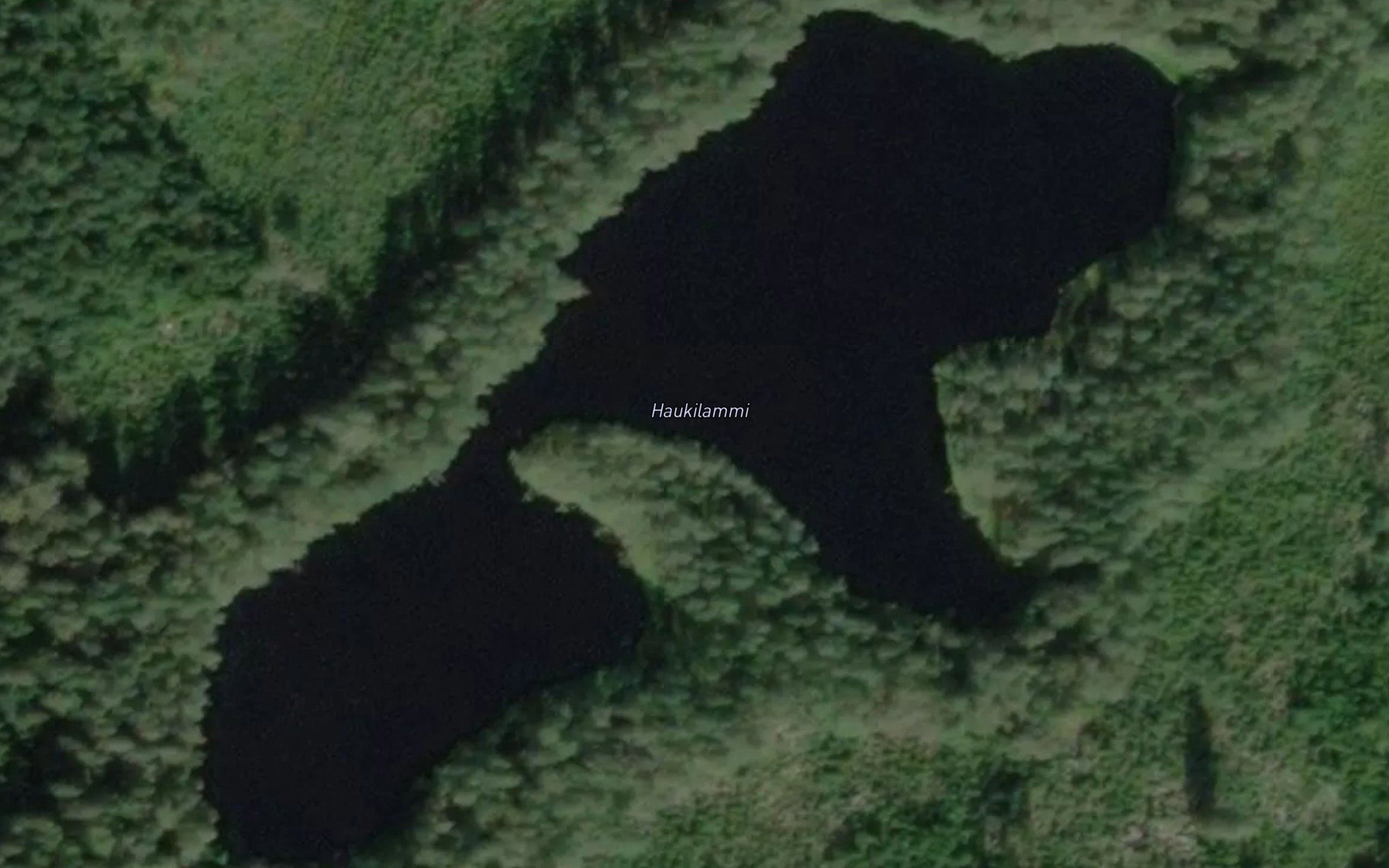 Haukilammi