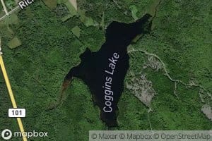 Coggins Lake
