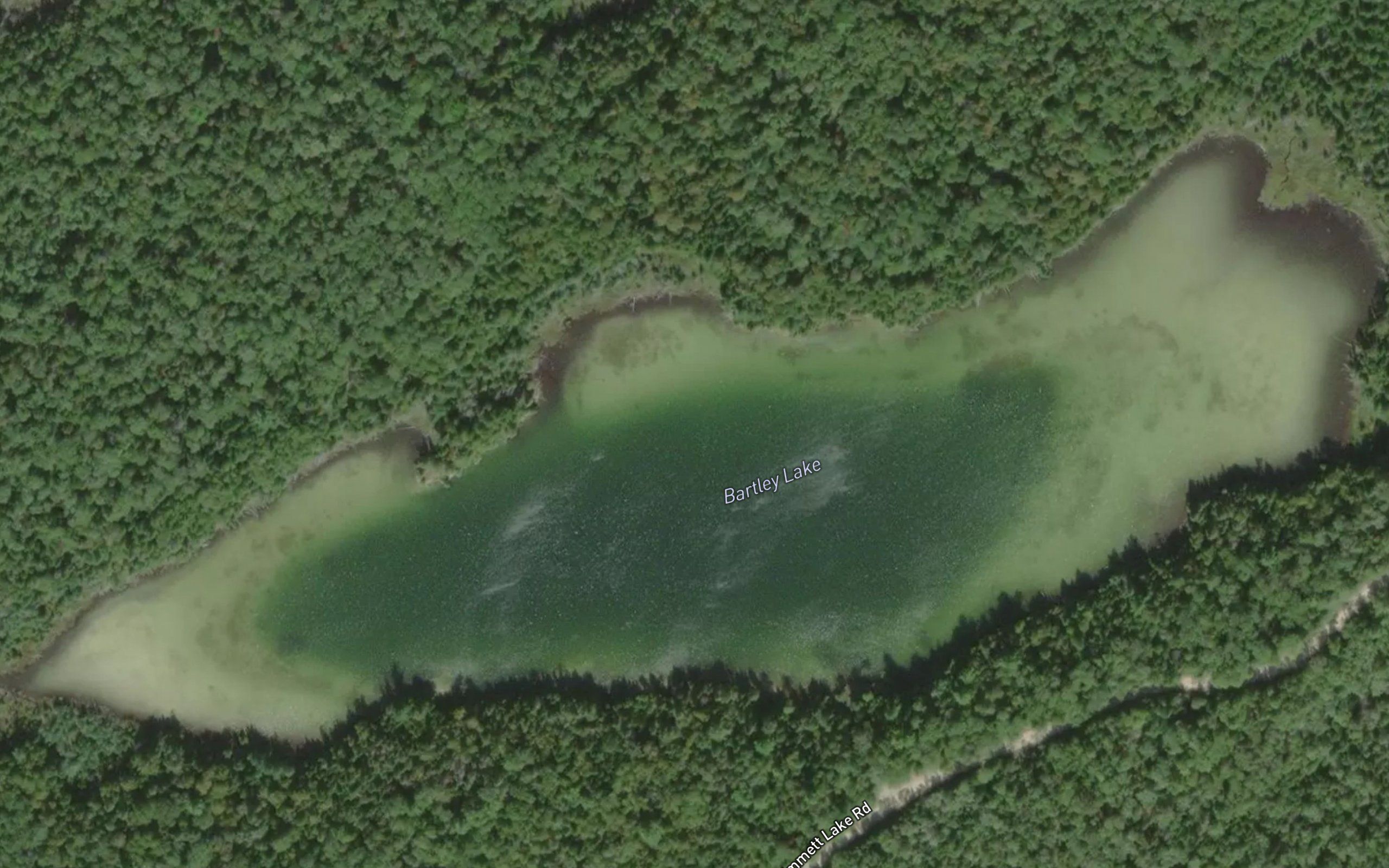 Bartley Lake