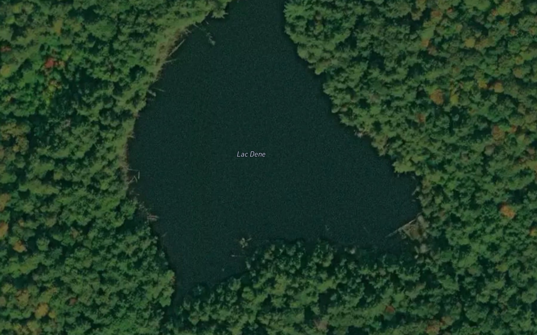 Satellite map of the Lac Dene