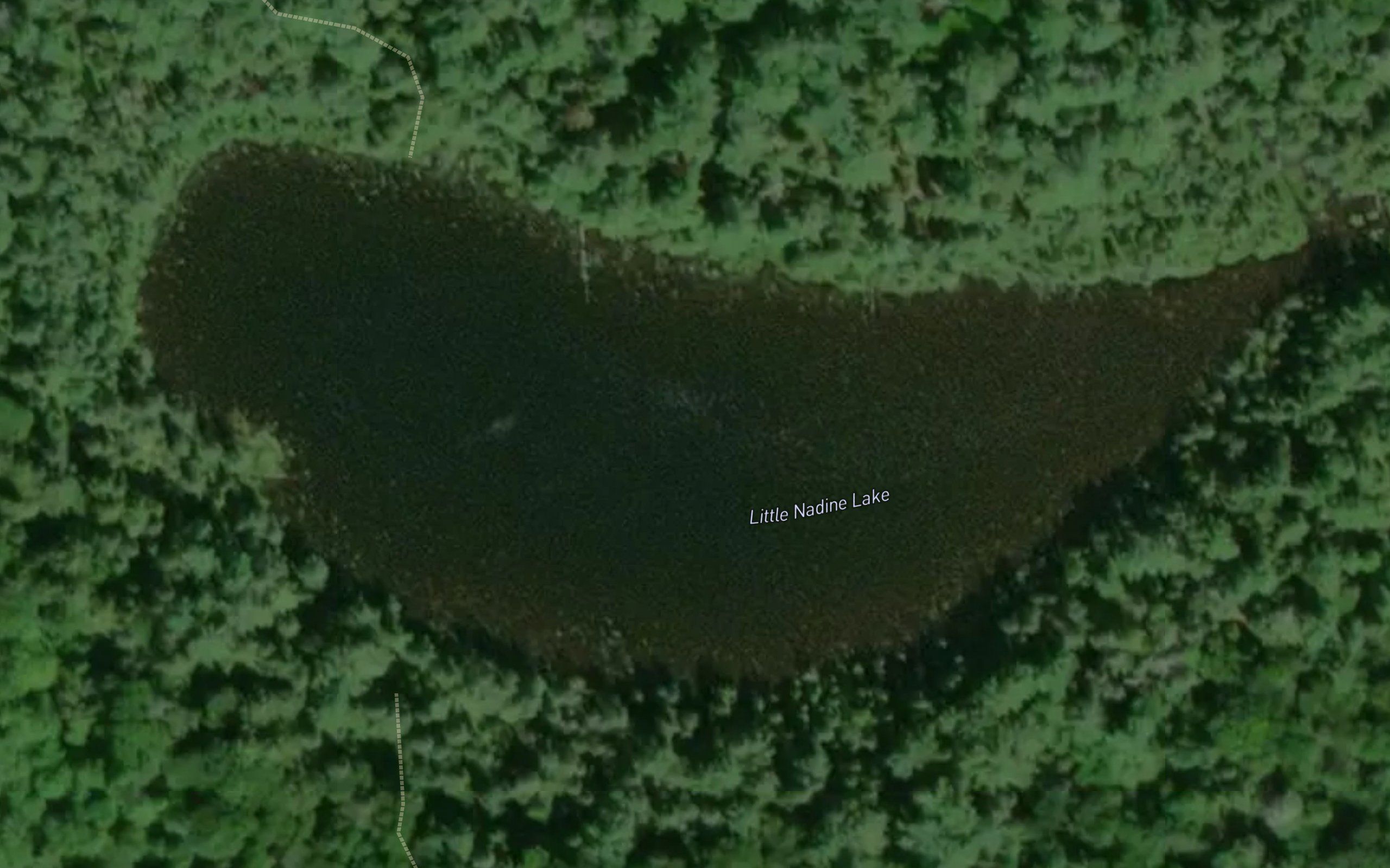 Little Nadine Lake