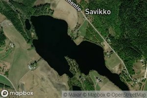 Satellite map of the Pitkalampi